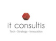 IT Consultis Contract